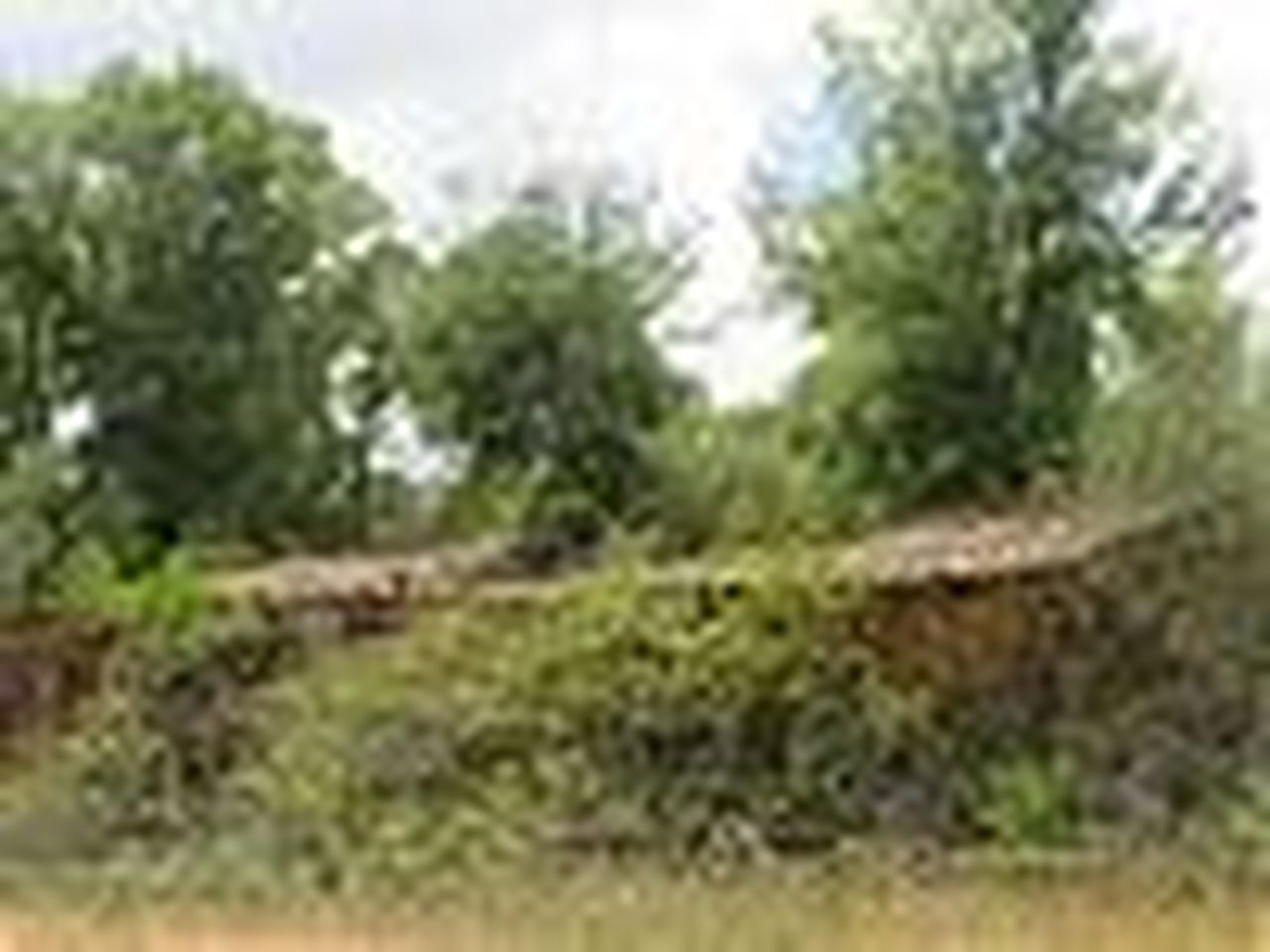 14_37d301af-d4c6-46ac-aa9d-80e328da24d4.jpg