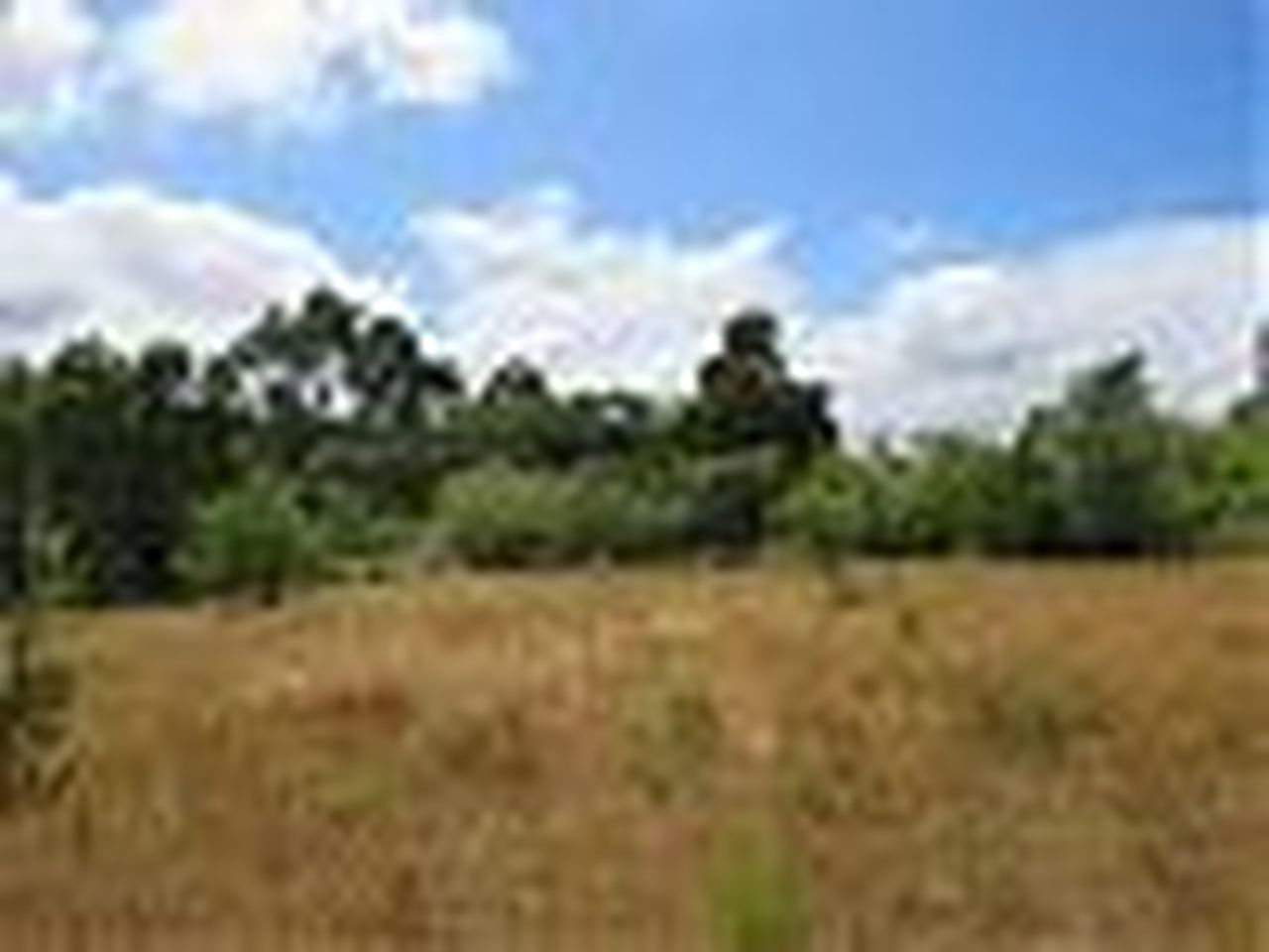 21_16b3fcc6-308f-4760-a5cb-91b19a4a2ac1.jpg