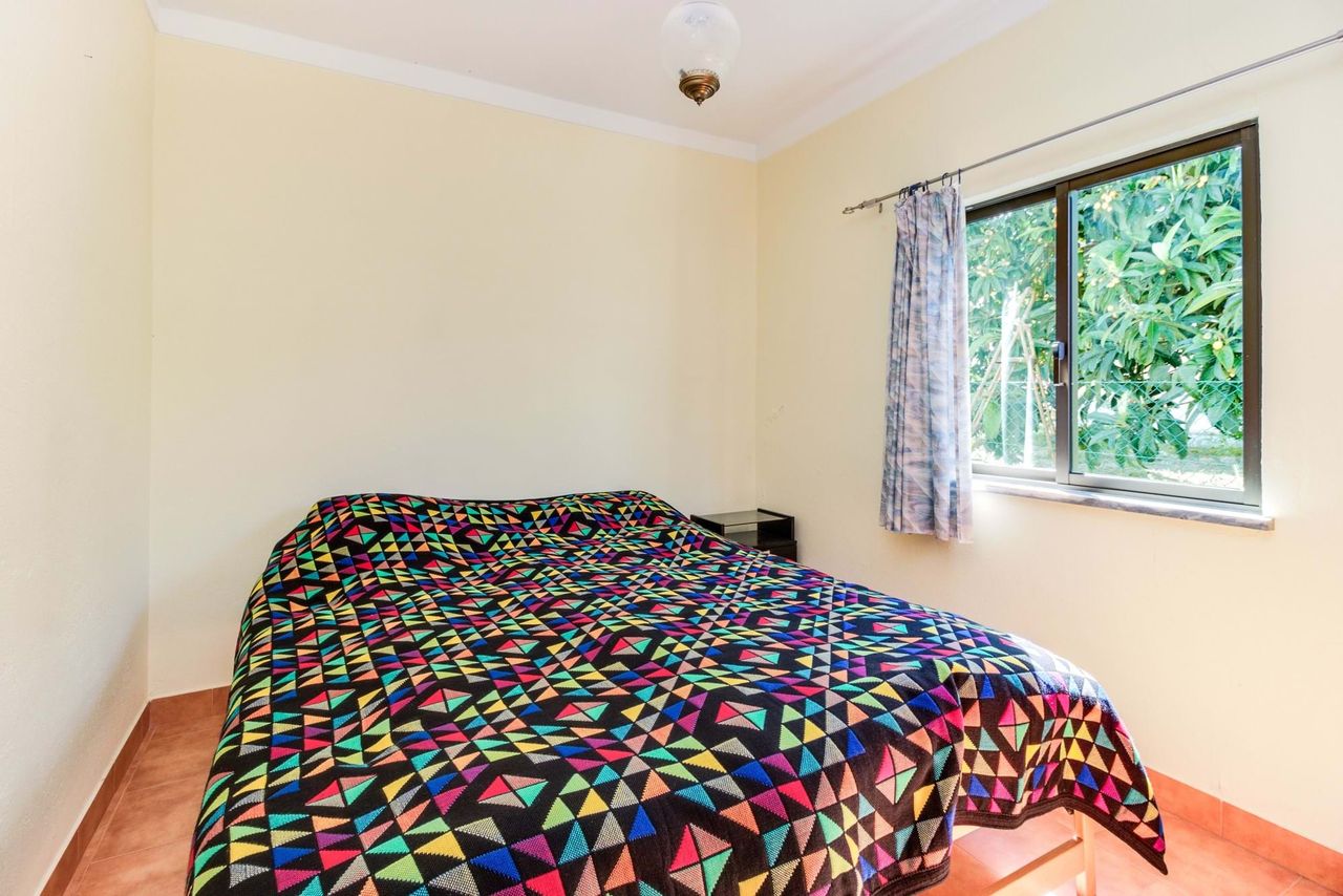 10_e73d7476-d327-49c4-a9b0-f290dad5e59f.jpg