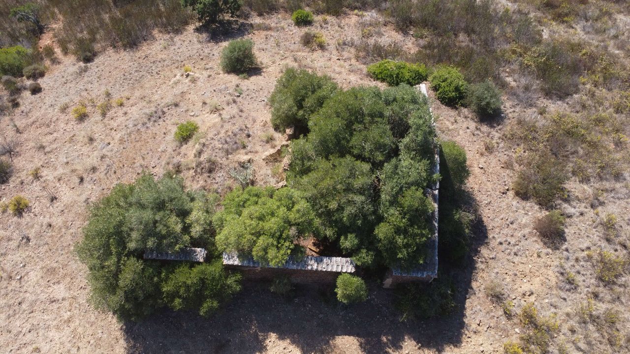DJI_0354.JPG