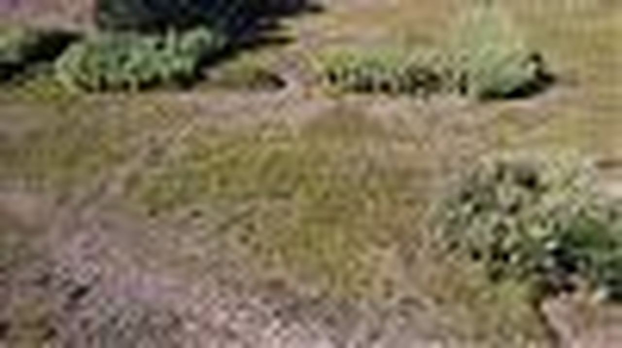 DJI_0360.JPG